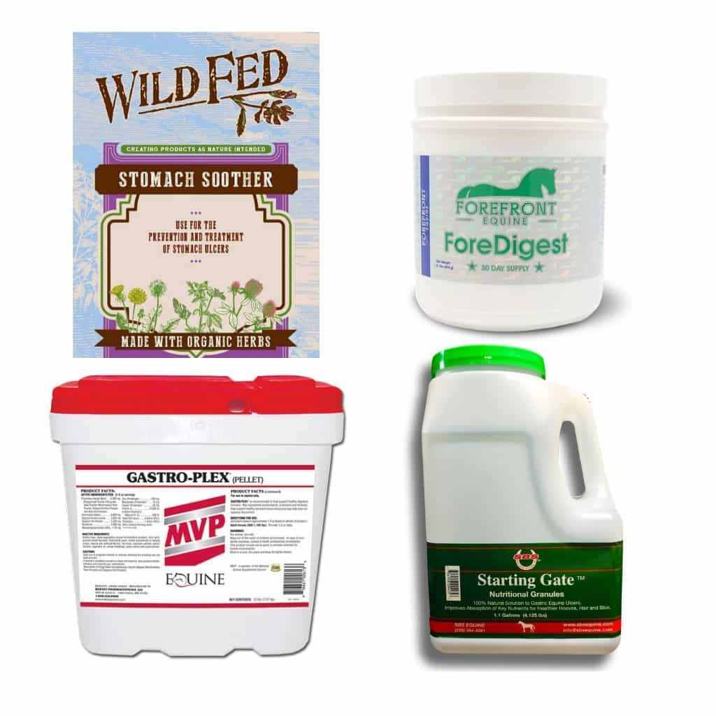 Popular Digestive Supplements at Getty Equine Nutrition.