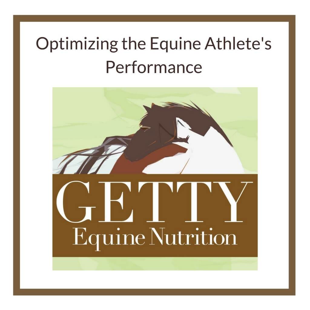 Optimizing the Equine Athlete's Performance - Dr. Getty Seminar