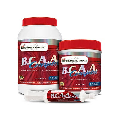 BCAA Complex (Amino Acids)