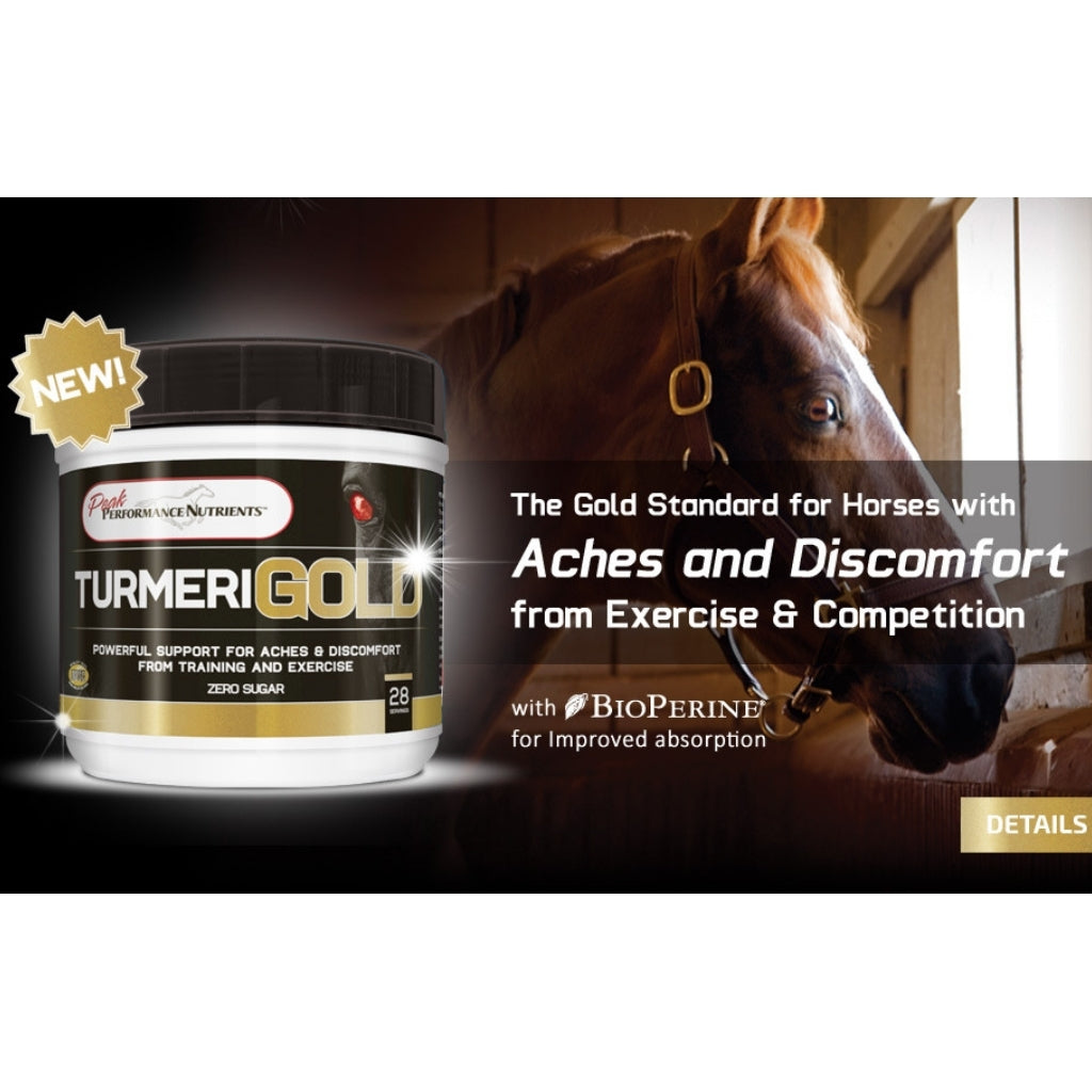 TurmericGold for horses Banner