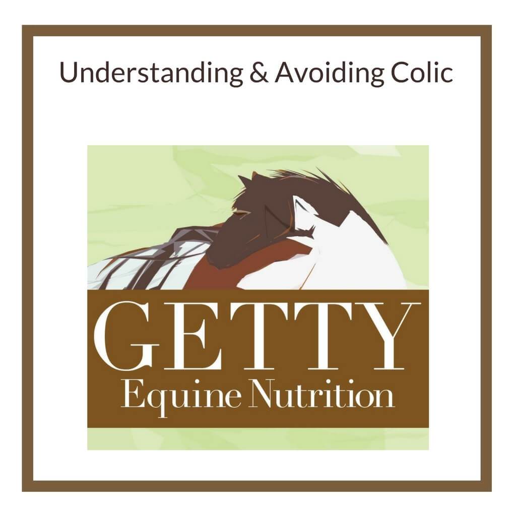 Understanding and Avoiding Colic - Dr. Getty Seminar