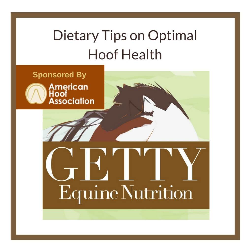 Dietary Tips on Optimal Hoof Health Webinar with Dr. Juliet M. Getty