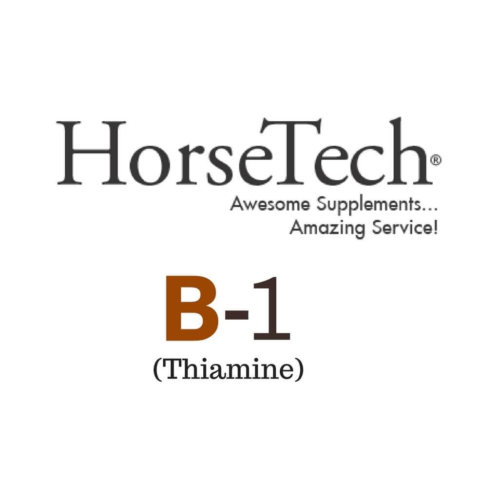 B-1 (Thiamine) for Horses by HorseTech
