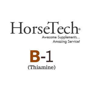 B-1 (Thiamine) for Horses by HorseTech