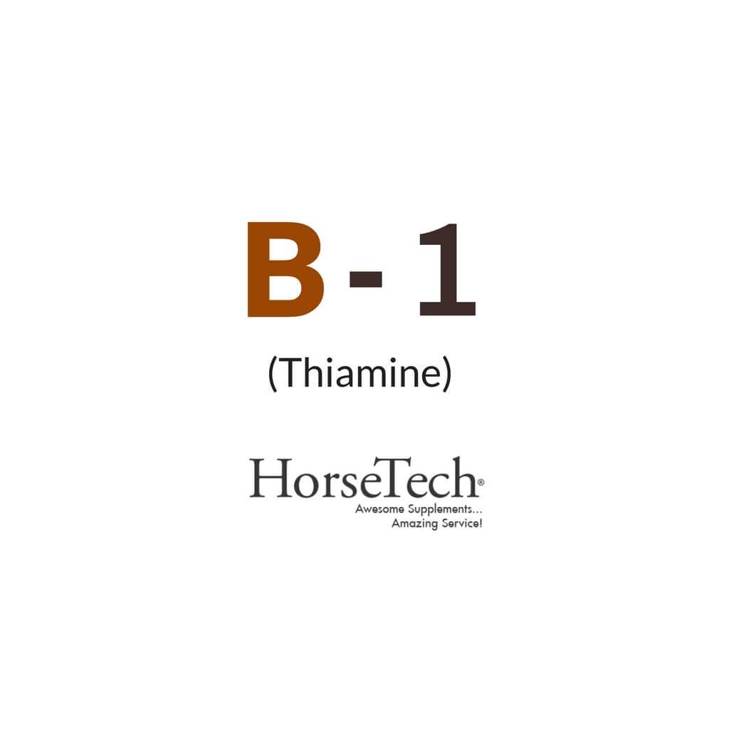 B-1 (Thiamine) Vitamin for Horses by HorseTech