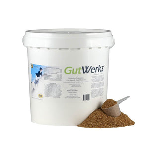 GutWerks - Pre/Probiotics, Live Yeast & Yeast Culture for Horses