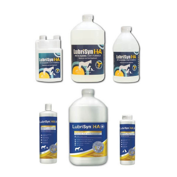 https://gettyequinenutrition.com/cdn/shop/products/lubrisyn-ha-msm-for-horses_600x.jpg?v=1524610586