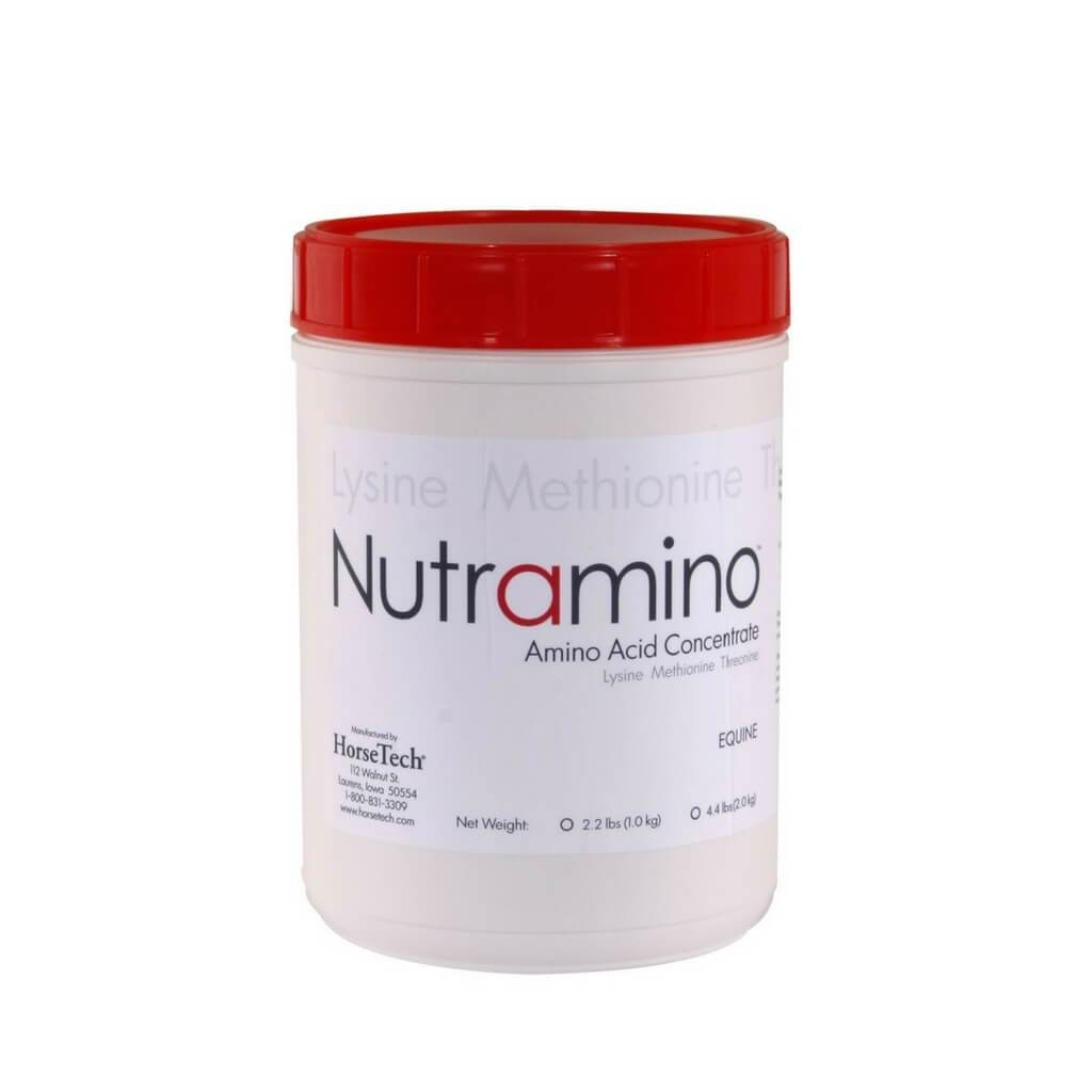 Nutra-Amino for Horses - Essential Amino Acids