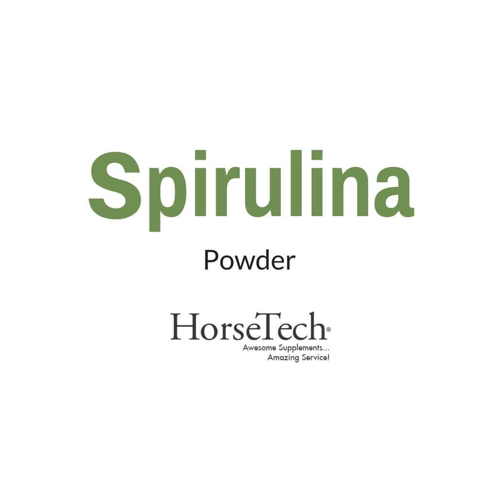 Spirulina (Micro Algae Powder) for Horses